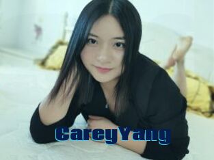 CareyYang