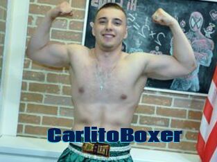 CarlitoBoxer