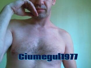 Ciumegul1977