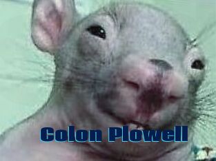 Colon_Plowell