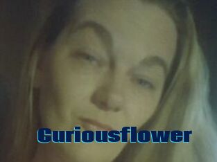 Curiousflower