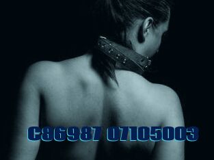 C86987-07105003