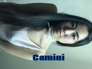 Camini