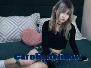 Carolinawillow