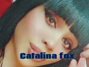 Catalina_fox