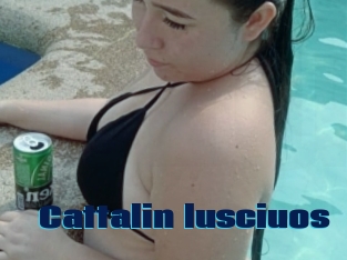 Cattalin_lusciuos