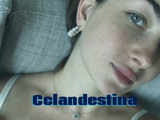 Cclandestina