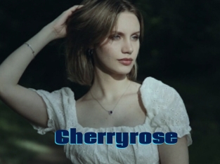 Cherryrose