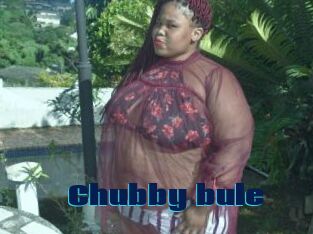 Chubby_bule