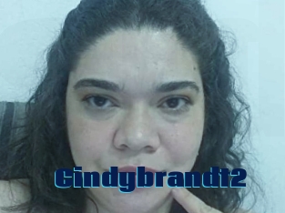 Cindybrandt2