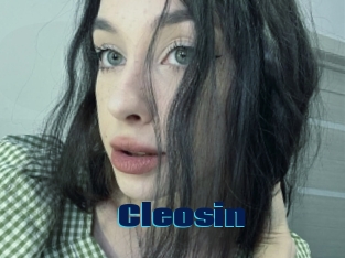 Cleosin