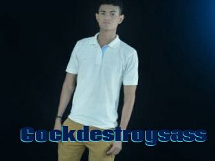 Cockdestroysass