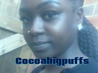 Cocoabigpuffs
