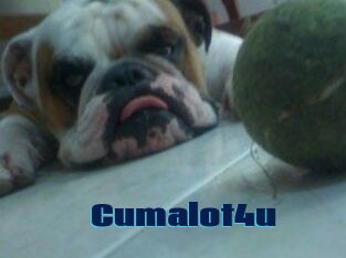 Cumalot4u