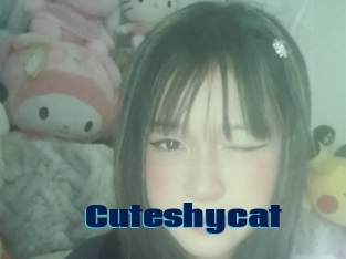 Cuteshycat