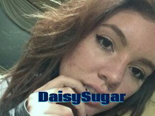 Daisy_Sugar