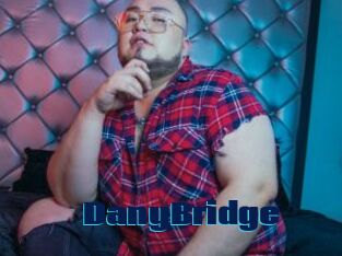 DanyBridge