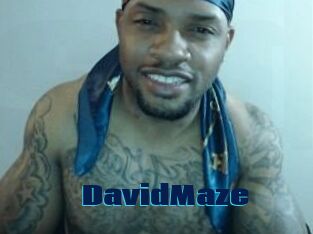 David_Maze