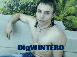 DigWINTERO