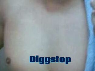 Diggstop