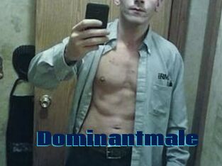 Dominantmale