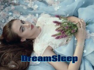 DreamSleep