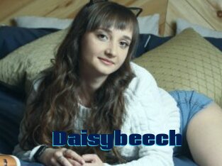 Daisybeech