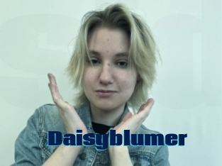 Daisyblumer