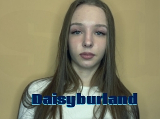 Daisyburland