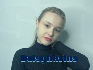 Daisyhavins