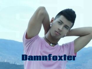 Damnfoxter