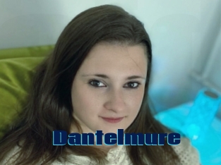 Dantelmure