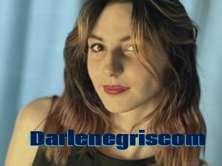 Darlenegriscom