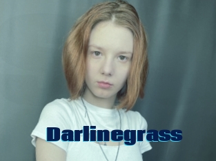 Darlinegrass