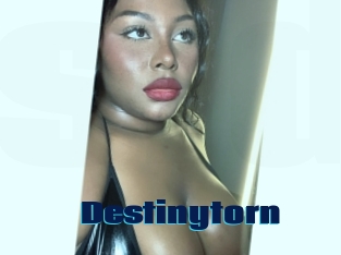 Destinytorn