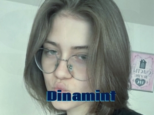 Dinamint