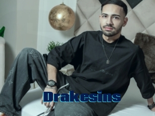 Drakesins