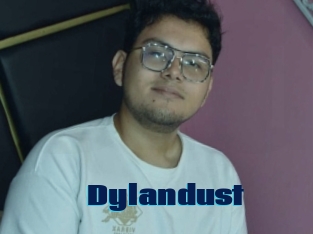 Dylandust