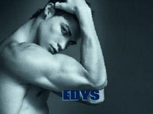 EDYS