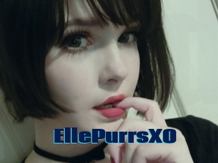 EllePurrsXO