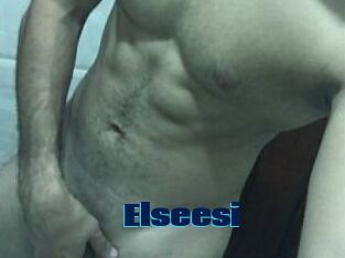 Elseesi