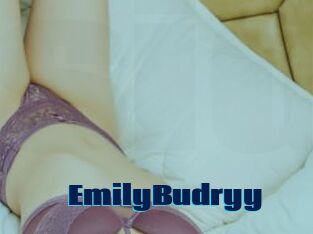 EmilyBudryy