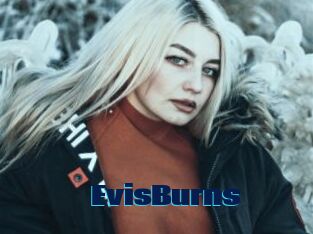 EvisBurns