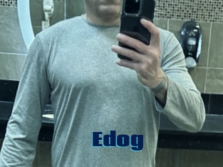 Edog