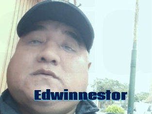 Edwinnestor