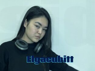 Elgacubitt