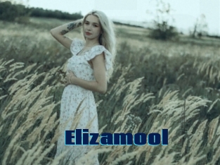 Elizamool