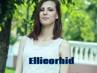 Ellieorhid