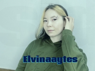 Elvinaaytes