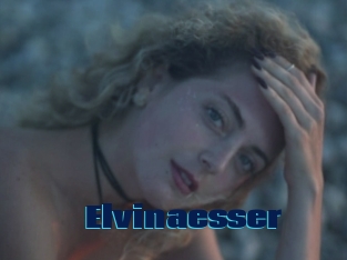 Elvinaesser